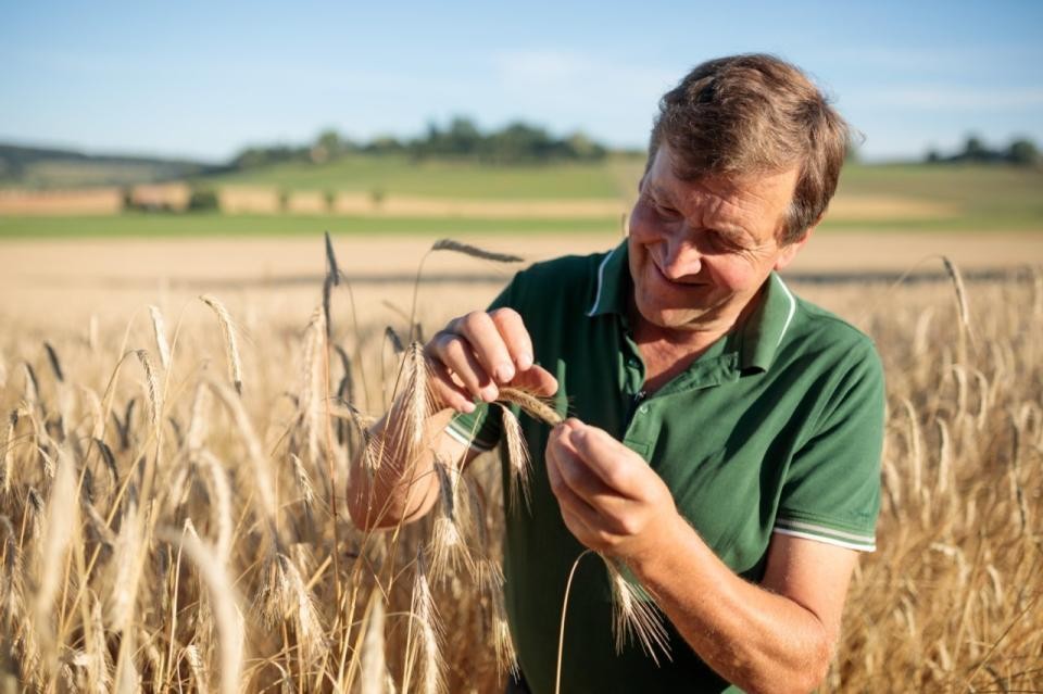 Landwirt auf dem Getreidefeld