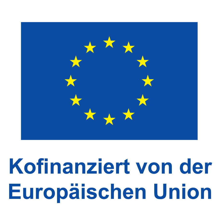 Europaflagge mit Schrift: Finanziert von der Europäischen Union